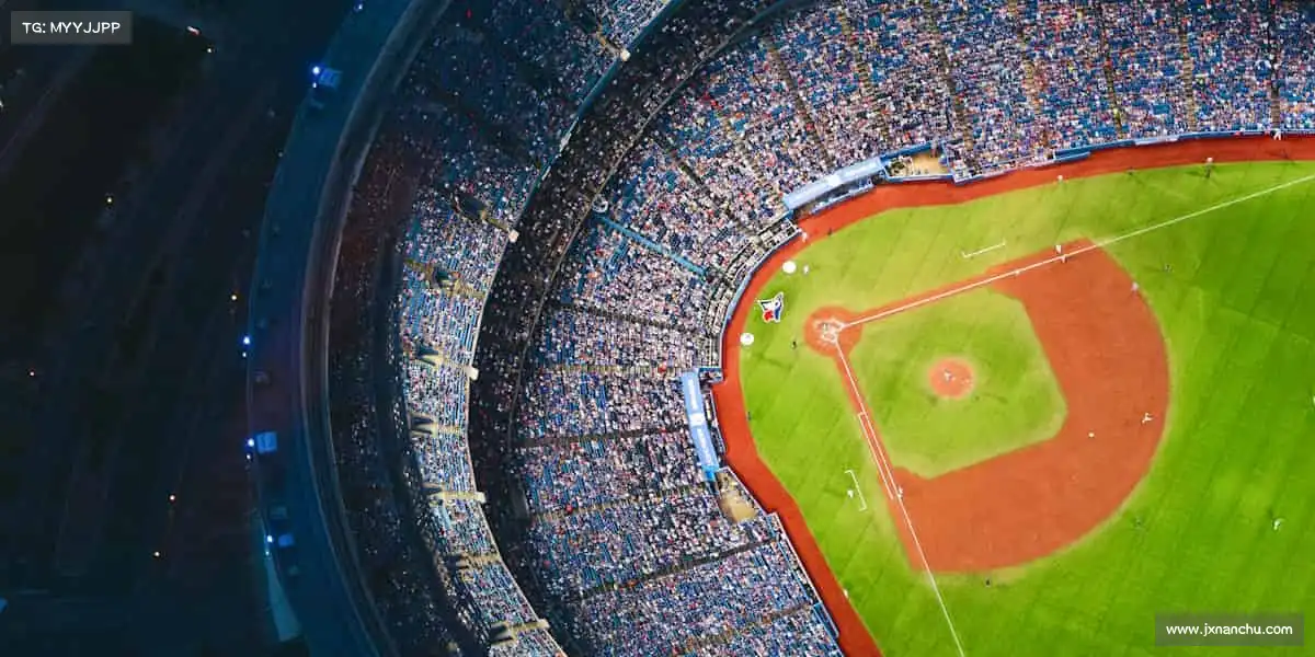 为什么选择我们